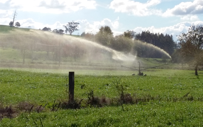 Magnum Irrigator