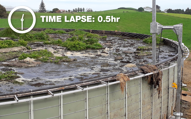 Time lapse: After 0.5 hr